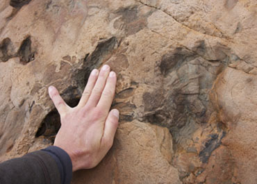 Traces des dinosaures, Vieux-Emosson